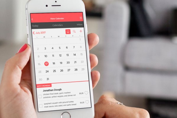 woman holding iPhone with Lunch Money Buddy app with calendar view with today selected by default showing today'd children lunch menu options